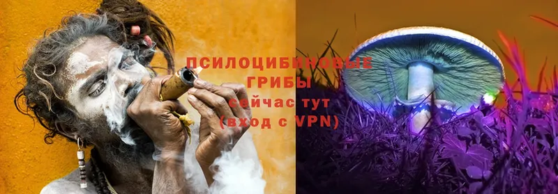 Псилоцибиновые грибы Magic Shrooms  наркошоп  Долинск 